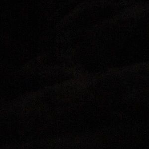 Meet your Posher, Bailey